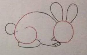 4-easy-drawing-rabbit-for-kindergarten