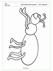 Ant coloring pages for preschool
