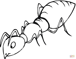 Ant colouring pages for preschool