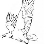 Download free Eagle coloring pages ideas for preschool