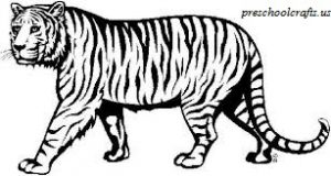 Download free printable Tiger coloring pages for kids