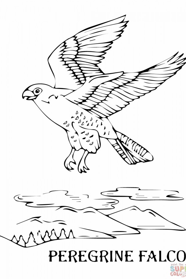 Flying-Peregrine-Falcon-Coloring-pages
