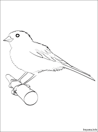 Free printable canary coloring pages for preschool