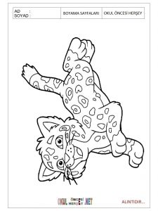 Free printable coloring pages for preschool
