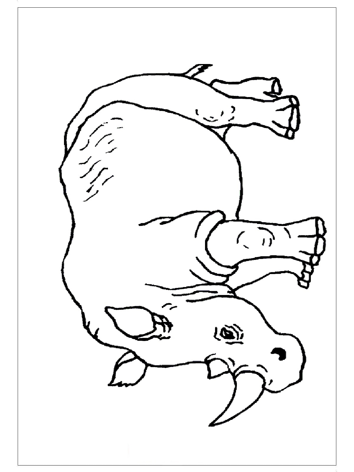 Rhino coloring pages - Preschool Crafts