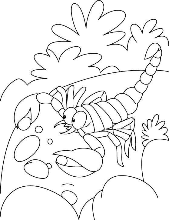 Scorpion-Coloring-Pages-for-children