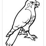 animal related coloring pages