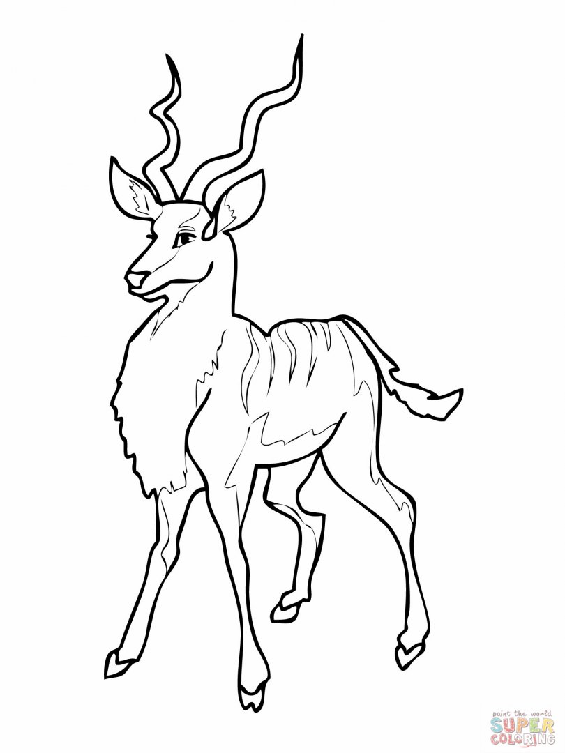 antelope-coloring-page-for-kids