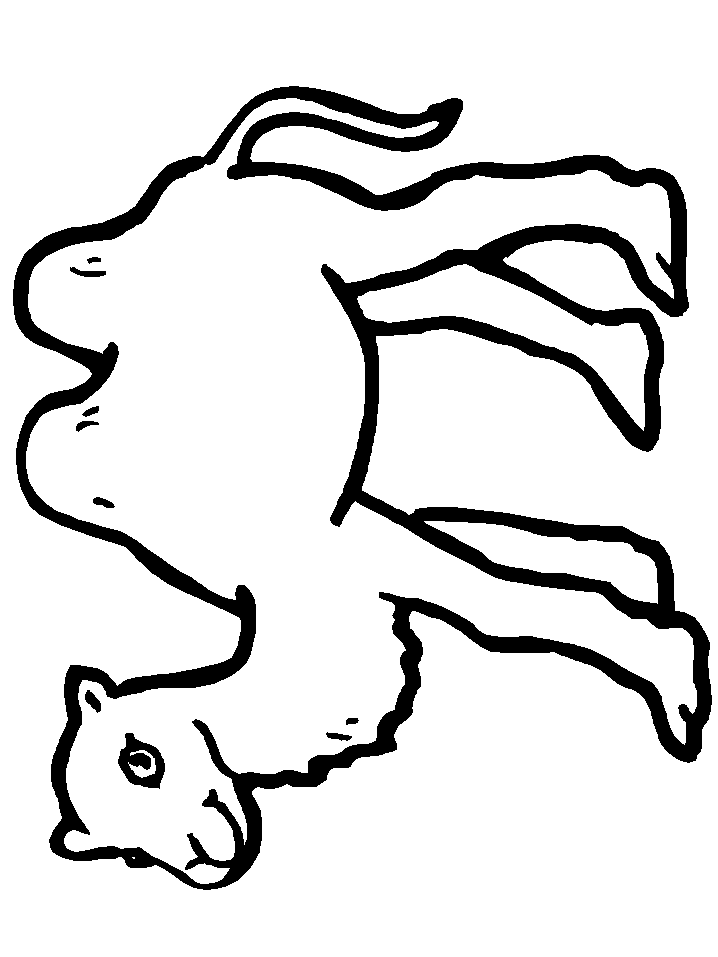 Camel Coloring Pages For Students - Preschool and Kindergarten