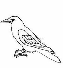 canary coloring pages for preschool