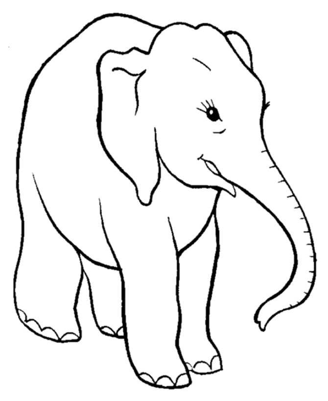 Elephant Coloring Pages For Kids - Preschool and Kindergarten