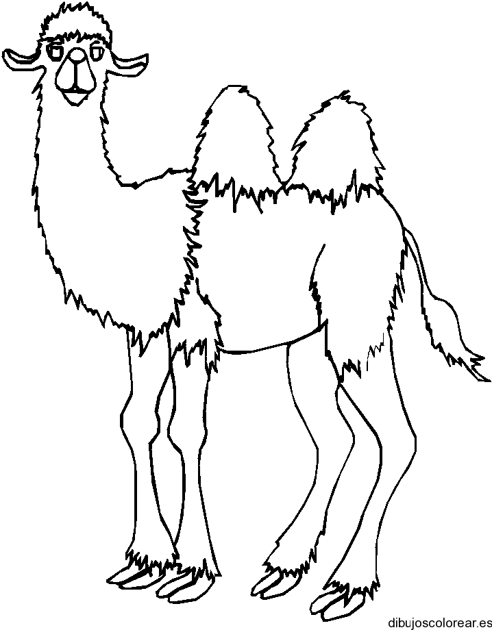 camle coloring pages for kids - photo #45