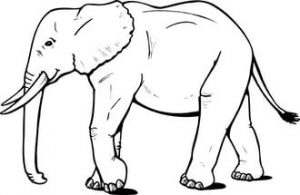 free-animals- Elephant-printable-coloring-pages-for-preschool
