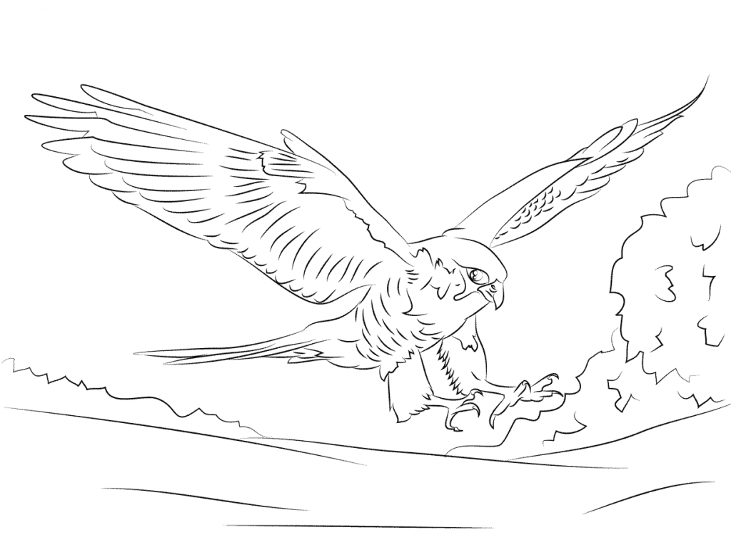 free-animals- Falcon -printable-coloring-pages-for-adults