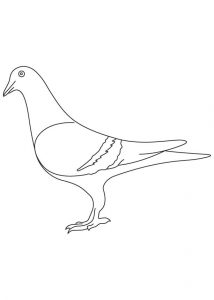free-animals- Pigeon-printable-coloring-pages-for-preschool