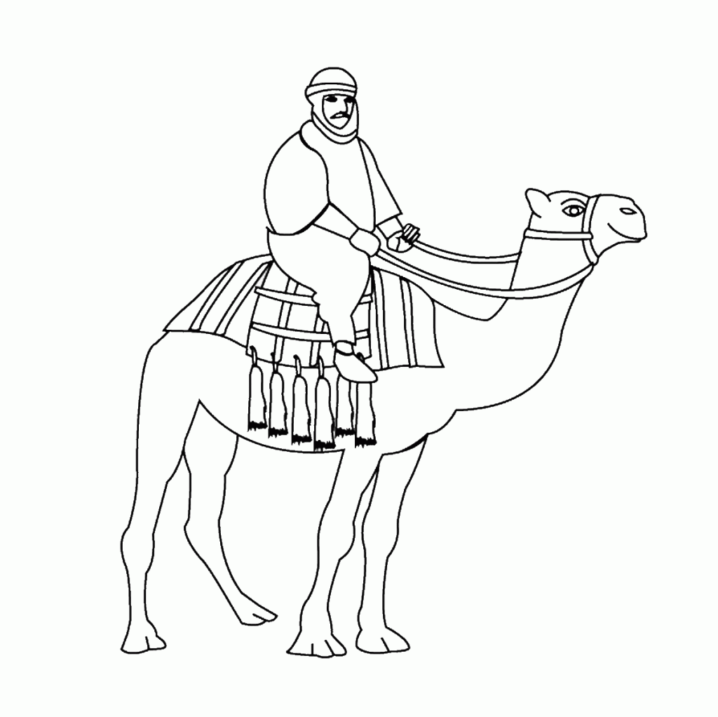 free-animals-camel-printable-coloring-pages-for-child