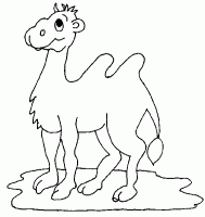 free-animals--camel-printable-coloring-pages-for-preschool