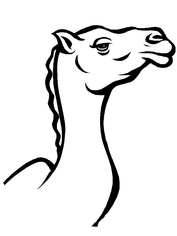 free-animals-camel-printable-coloring-pages-for
