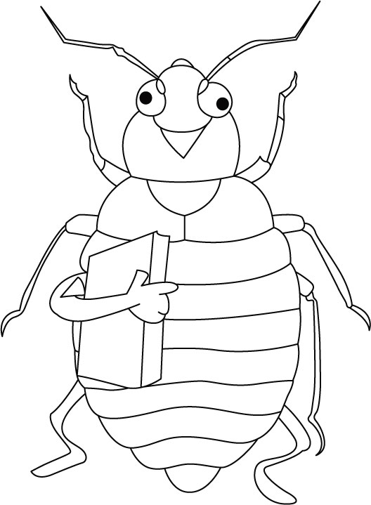 free-animals- cicada -printable-coloring-pages-for-kindergarden