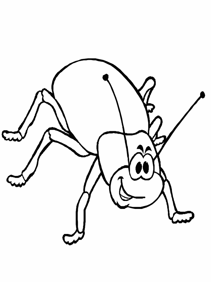 free-animals-cicada-printable-coloring-pages-for