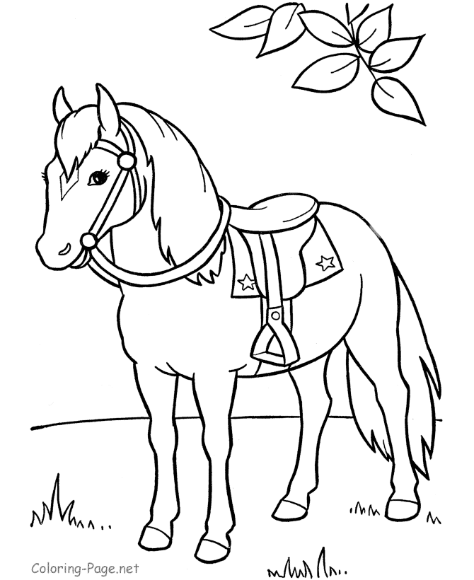 Horse Coloring Pages - Preschool and Kindergarten