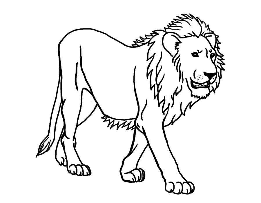 free-animals-lion -printable-coloring-pages-for-preschool