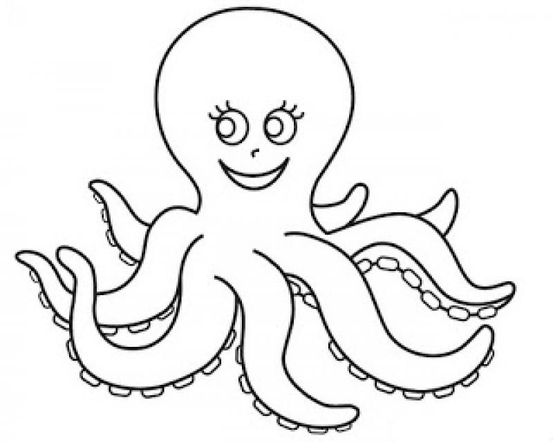 free-animals- octopus -printable-coloring-pages-for-preschool