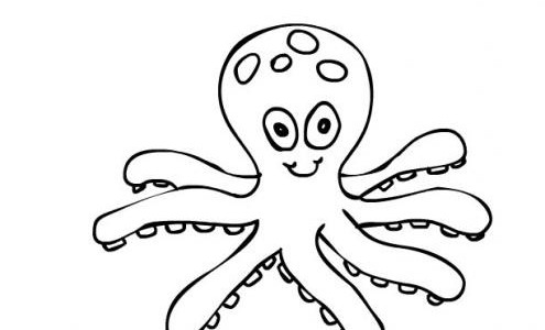free-animals-octopus-printable-coloring-pages-for-preschool