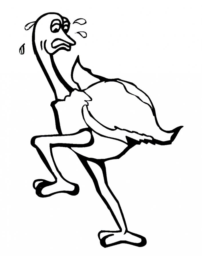 free-animals-ostrich-printable-coloring-pages-for-children