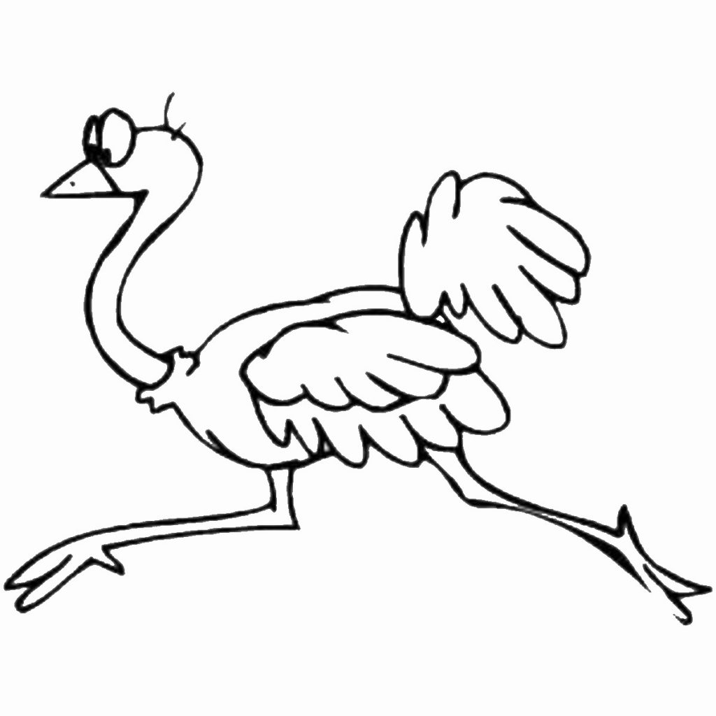 free-animals-ostrich-printable-coloring-pages-for preschool