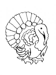 free-animals-turkey-coloring-pages-for-preschool