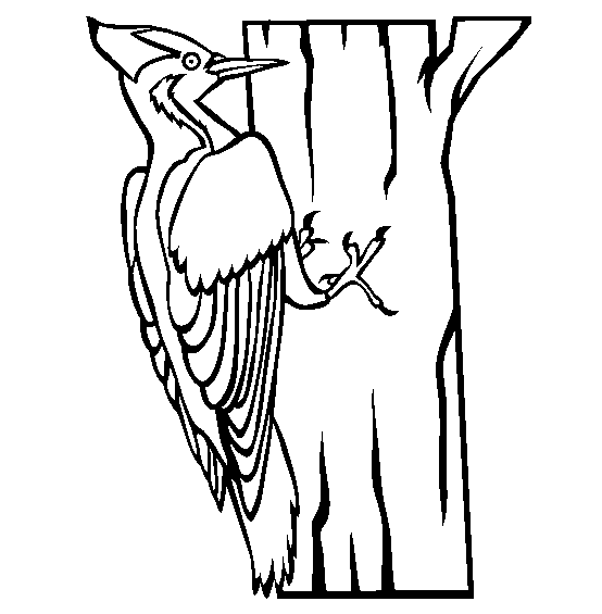 free-animals-woodpecker-printable-coloring-pages-for-preschool