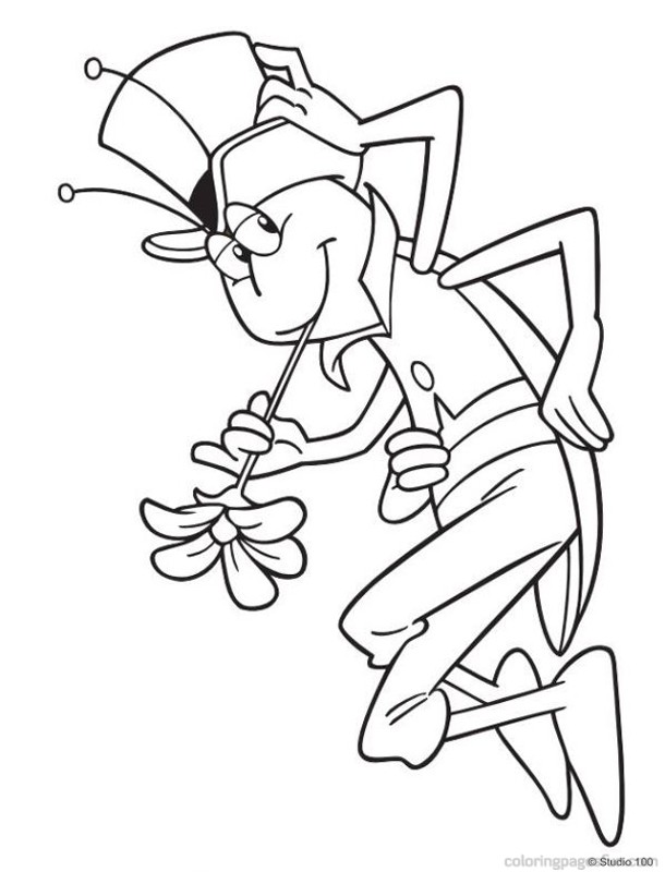 free-cicada-printable-pages-for-preschool