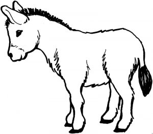 free-donkey-printable-colouring-pages-for-preschool