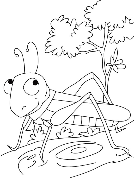 free-grasshopper-printable-painting-pages-for-preschool