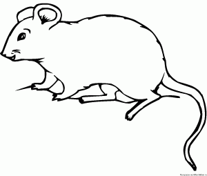 free mouse-printable-coloring-pages-for-preschool