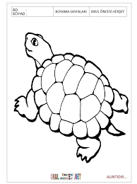 free printable animal coloring pages for preschool
