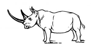 free-rhino-coloring-pages