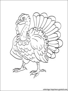 free-turkey-printable-coloring-pages-for-preschool