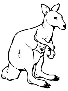 kangaroo-with-a-joey-coloring-page