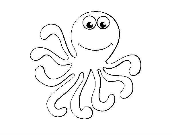 octopus-
