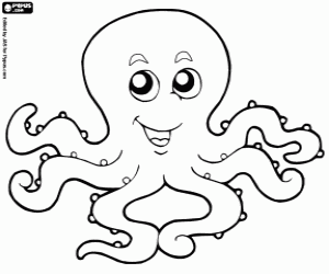 octopus colouring