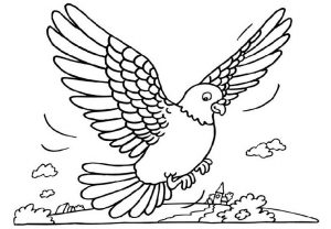 pigeon-coloring-free-page