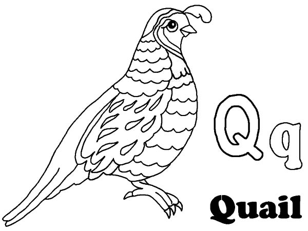 q is for queen printable coloring pages - photo #45