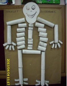 toilet rolls skeleton human body craft