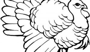 turkey-coloring-pages
