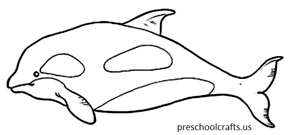 whale-picture-of-killer-coloring-page