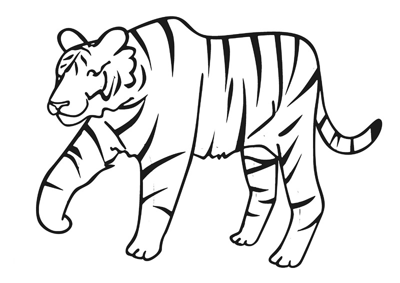 zoo-coloring-pages-tiger - Preschool Crafts