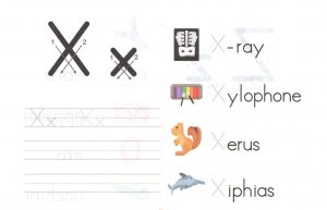 alphabet-capital-and-small-letter-X-x-worksheet-for-kids