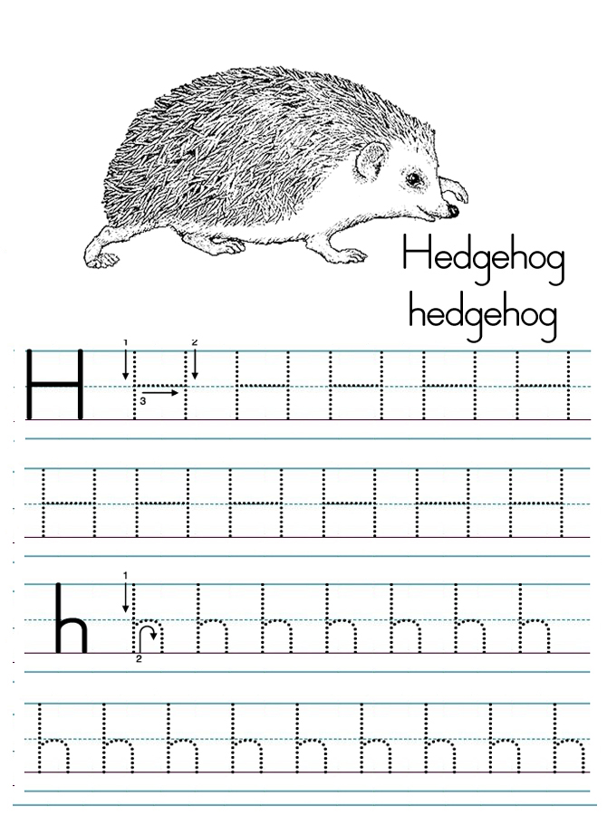 Alphabet letter h tracing worksheet Preschool Crafts
